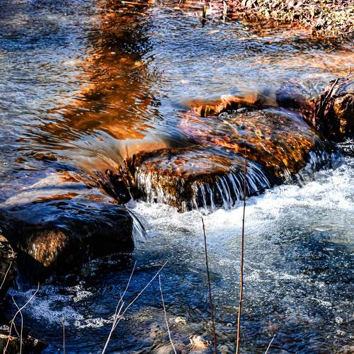 Photo #6179465