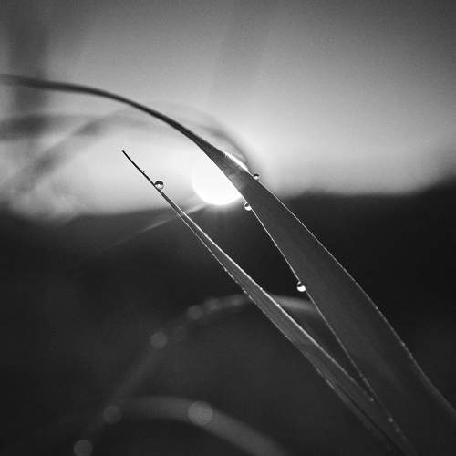 Photo #6179488