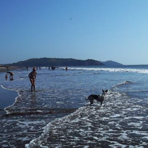 Photo #6179499