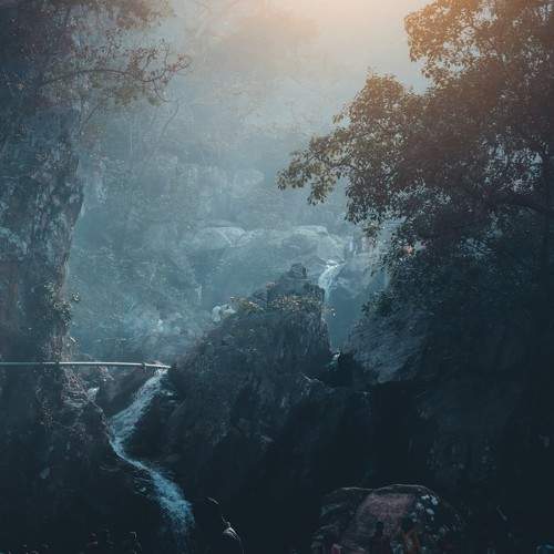 Photo #6179695