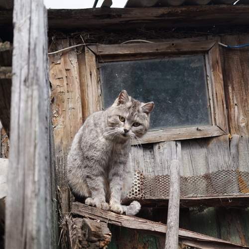 Photo #6179857