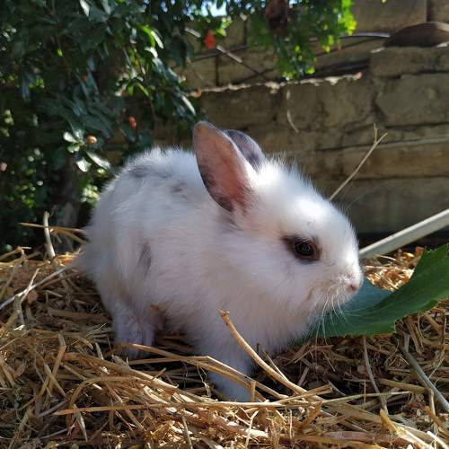 Photo #6180023