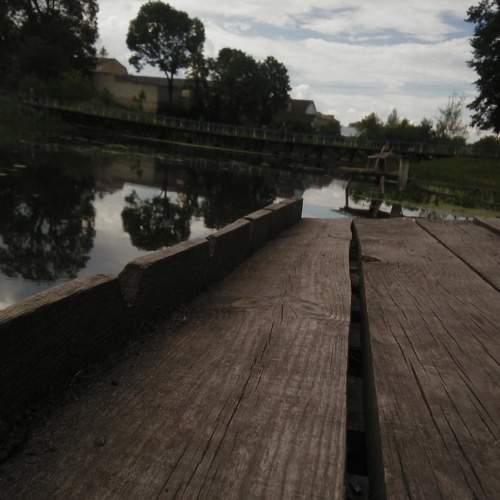 Photo #6180034