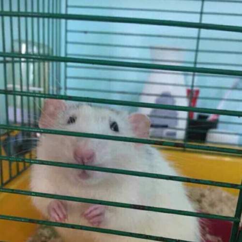 Photo #6180260