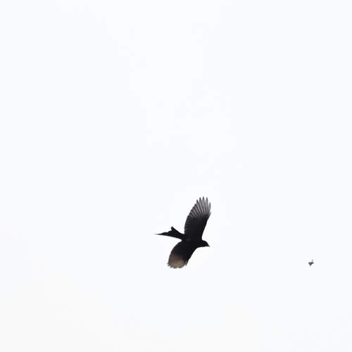 Photo #6180459