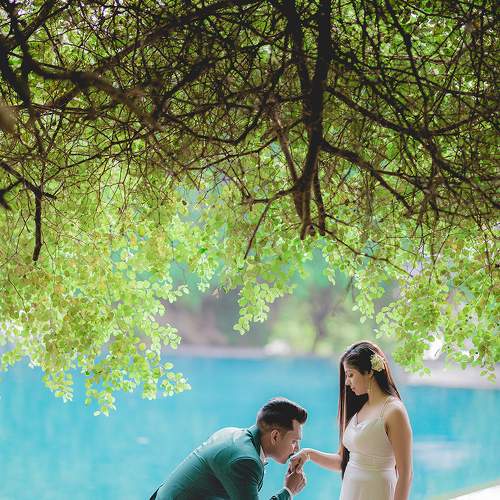 Photo #6180563
