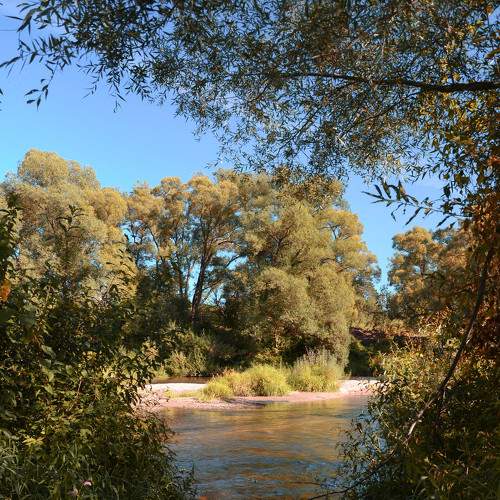 Photo #6180836