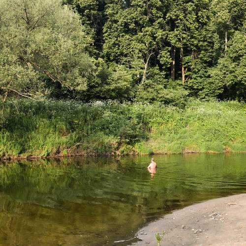Photo #6180857