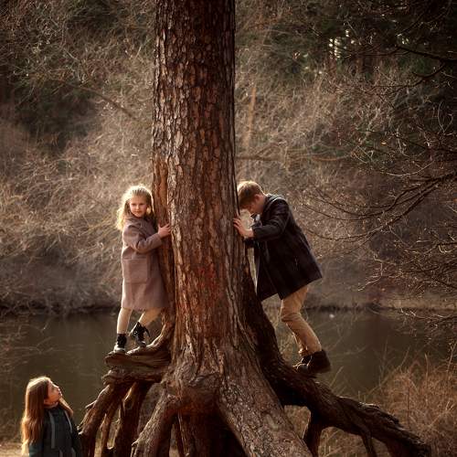 Photo #6181077