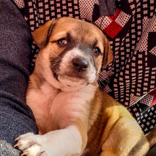Photo #6181130