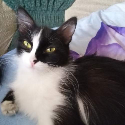 Photo #6181287