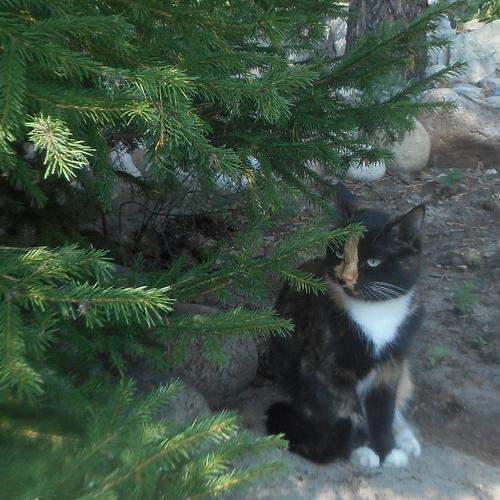 Photo #6181303