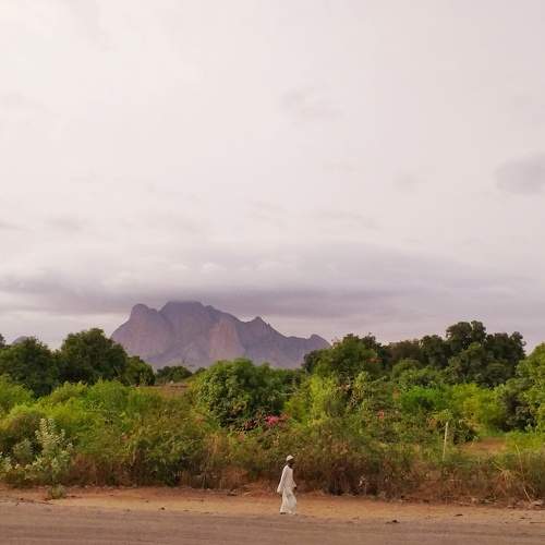 Photo #6181348