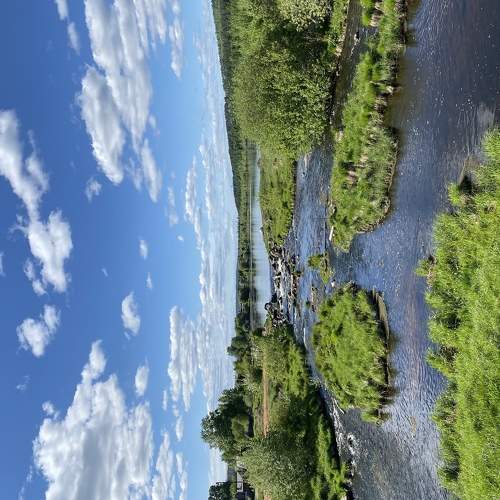 Photo #6181370