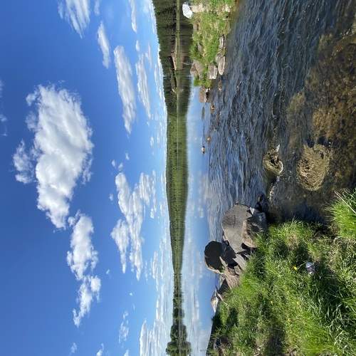 Photo #6181379
