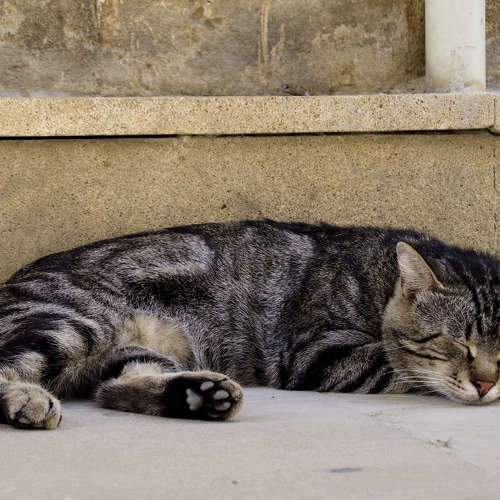 Photo #6181754
