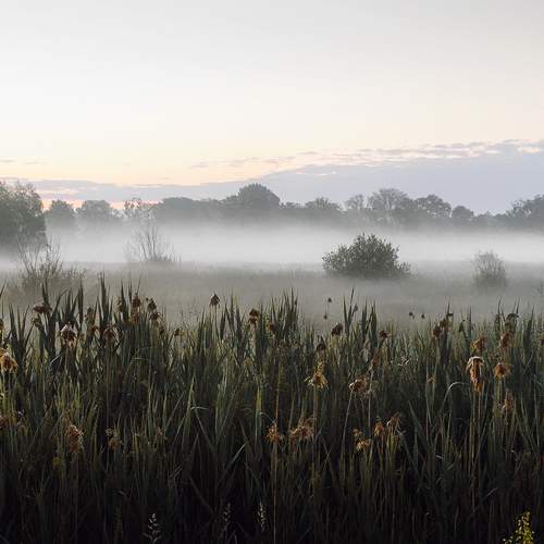 Photo #6181932
