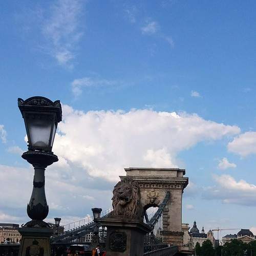 Photo #6182100