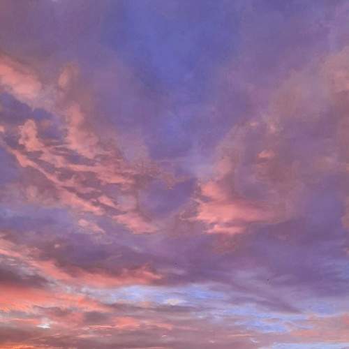Photo #6182115