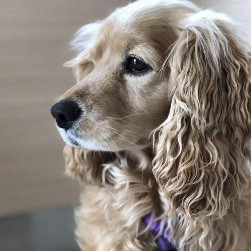 Photo #6182706