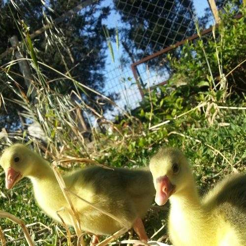 Photo #6182707