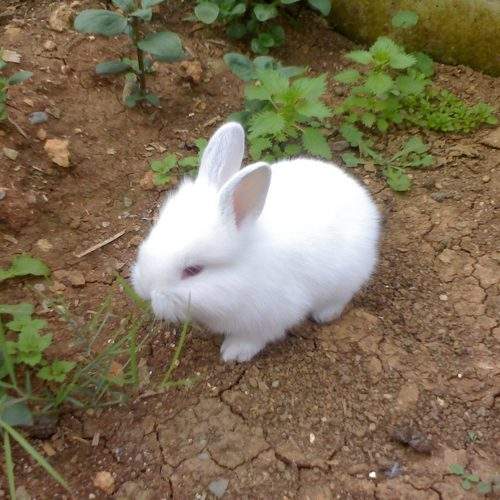 Photo #6182708