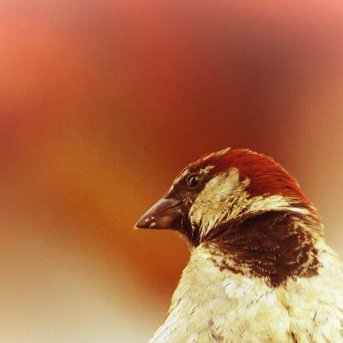 Photo #6182850
