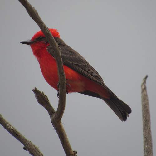 Photo #6182852