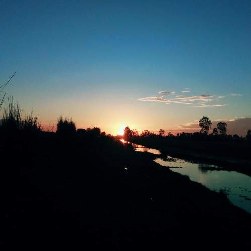 Photo #6182885