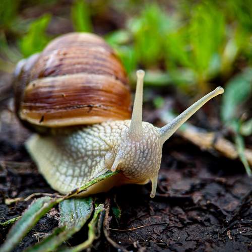 Photo #6182913