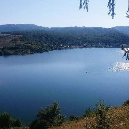 Photo #6183021