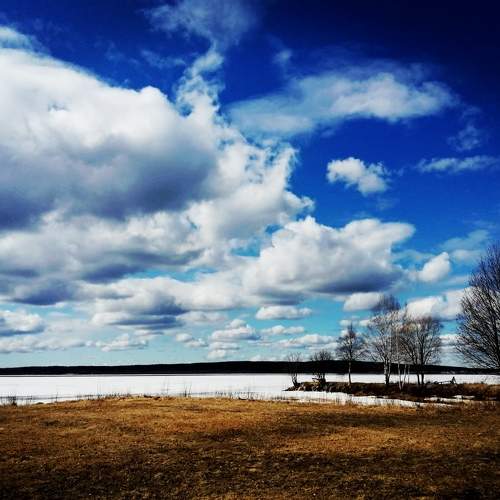 Photo #6183268
