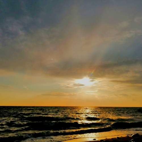 Photo #6183274
