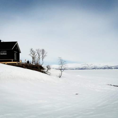 Photo #6183290