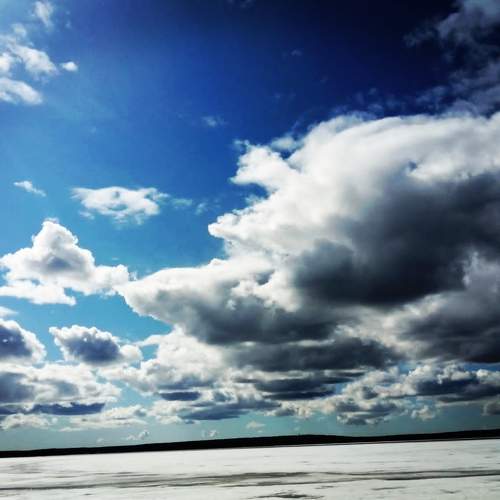 Photo #6183293