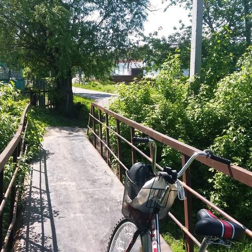 Photo #6183561