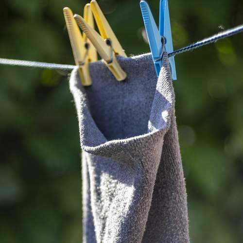 Photo #6183724