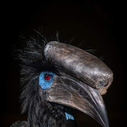 A Prehistoric Profile