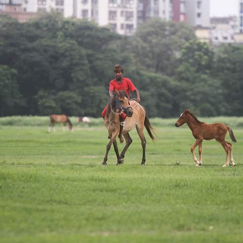 Photo #6184250