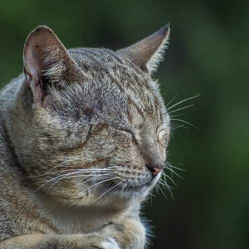 Photo #6184309