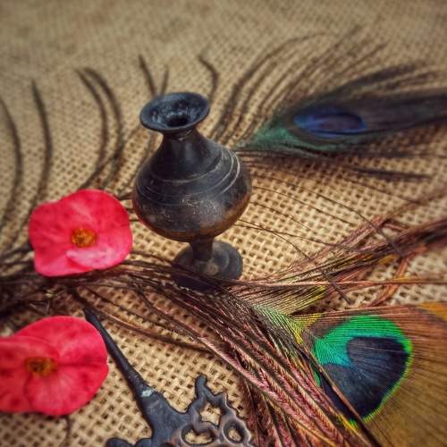 Photo #6184406