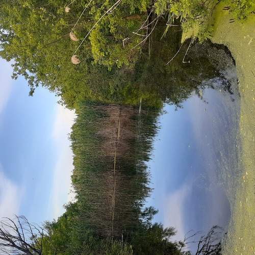 Photo #6184961