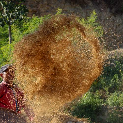 Photo #6185010