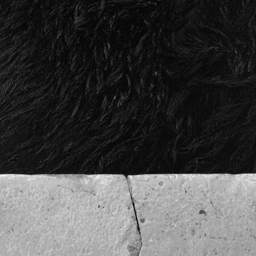 Photo #6185068