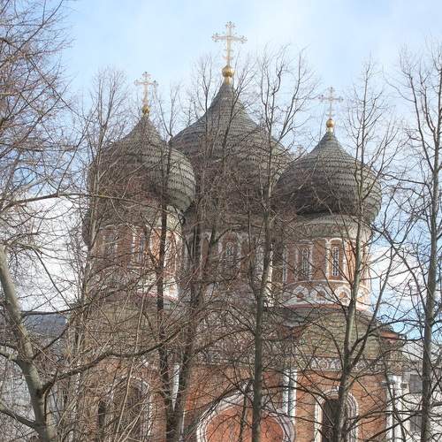 Photo #6185401