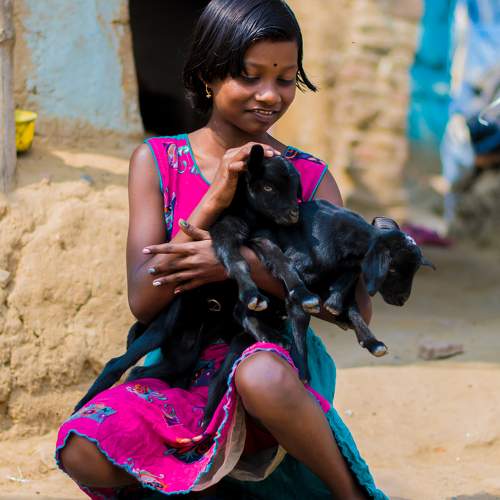 Photo #6185470
