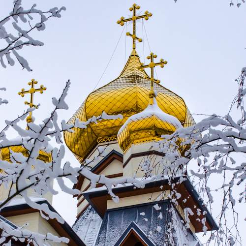 Photo #6185534