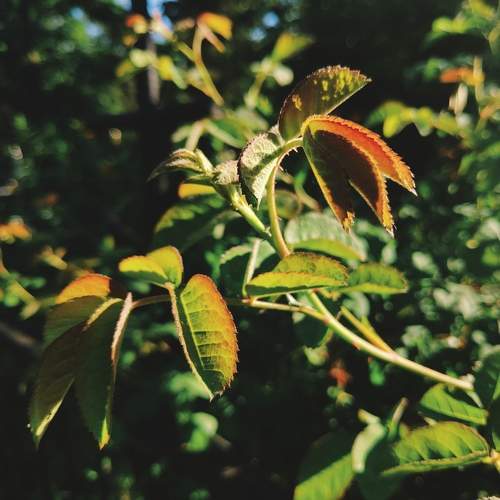Photo #6185757