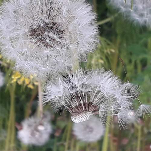 Photo #6186317