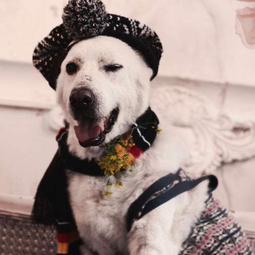 Photo #6186439